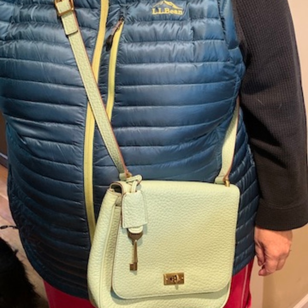 FOSSIL handbag